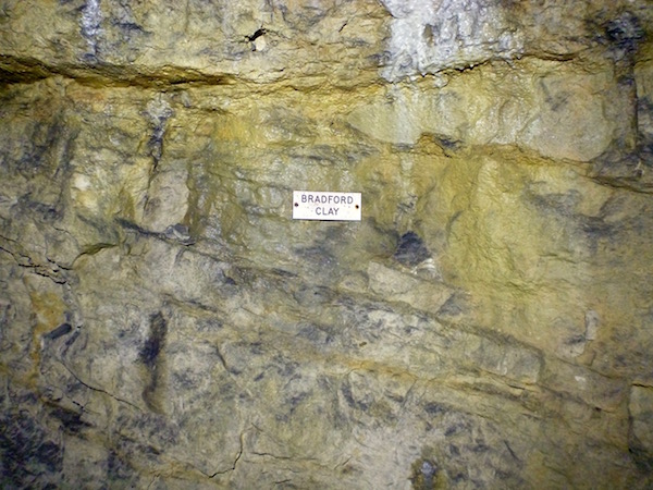 bradford clay